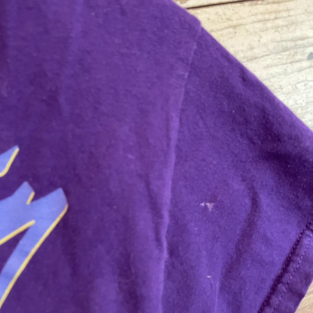 Prince Purple Rain Band Music Graphic Tee - Picture 4 of 4
